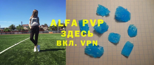 шишки Белоозёрский