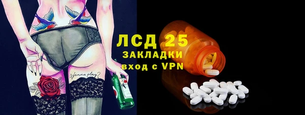 шишки Белоозёрский