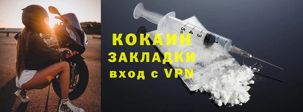 шишки Белоозёрский