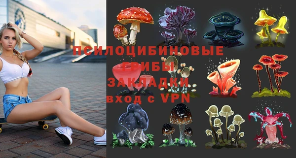 каннабис Белокуриха