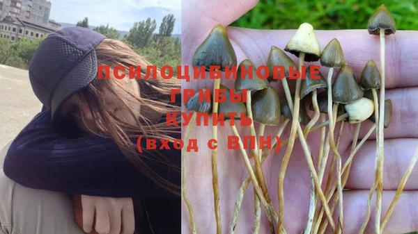 шишки Белоозёрский
