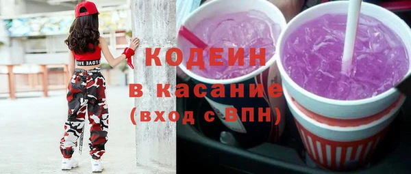 шишки Белоозёрский